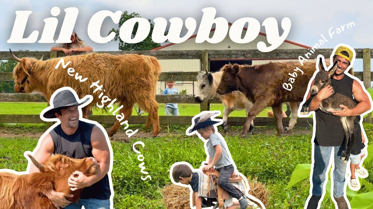 The Lil' Cowboys Bring Home 2 Adorable Mini Highland Cows! Come Meet the Herd! KIDS/FARM LIFE/ANIMAL