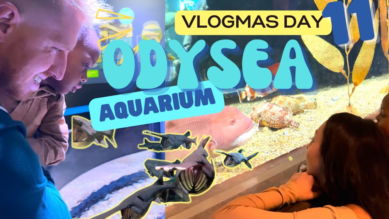 VLOGMAS DAY 11 | ODYSEA AQUARIUM
