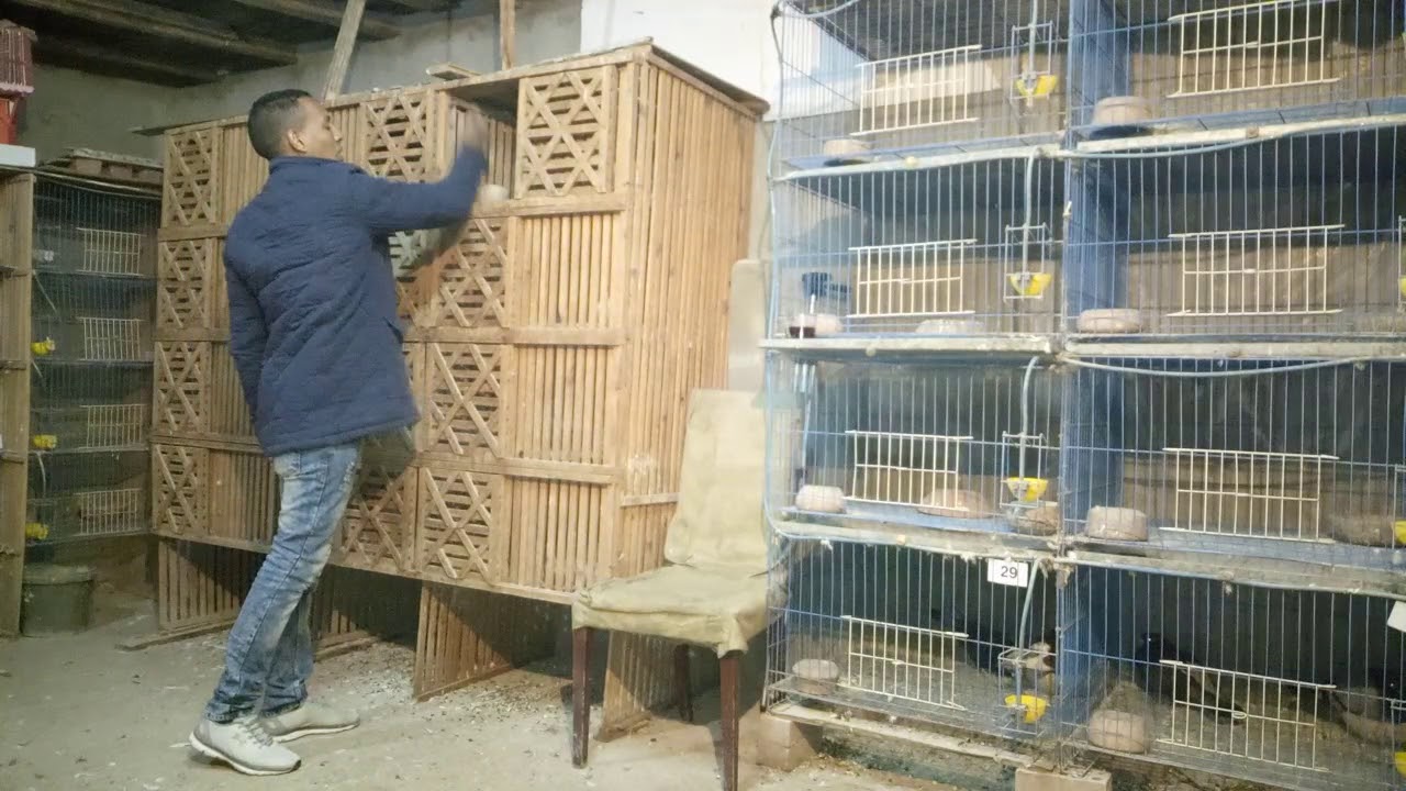 من احلي الحكاوي اللي انت ممكن تسمعها حكايه الفردالحمام الجدع متخسروش بايدك#غية_ال_ادم