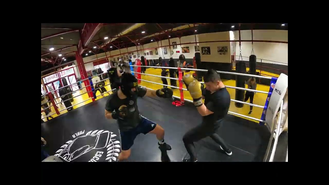Escuela de Boxeo Parla