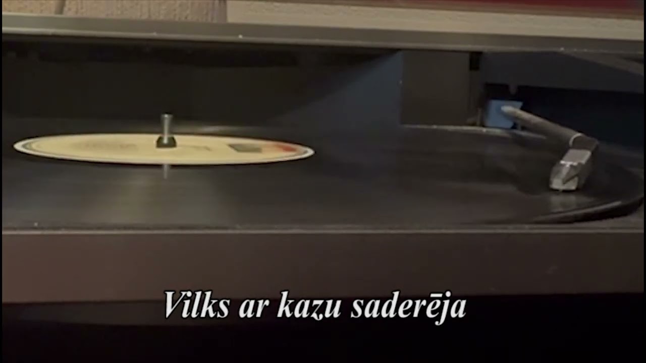 Vilks ar kazu saderēja