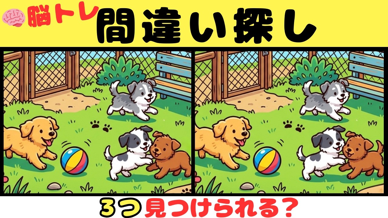 【間違い探しクイズ】見つけたら天才！！３つの間違いを探そう【脳トレ】#52