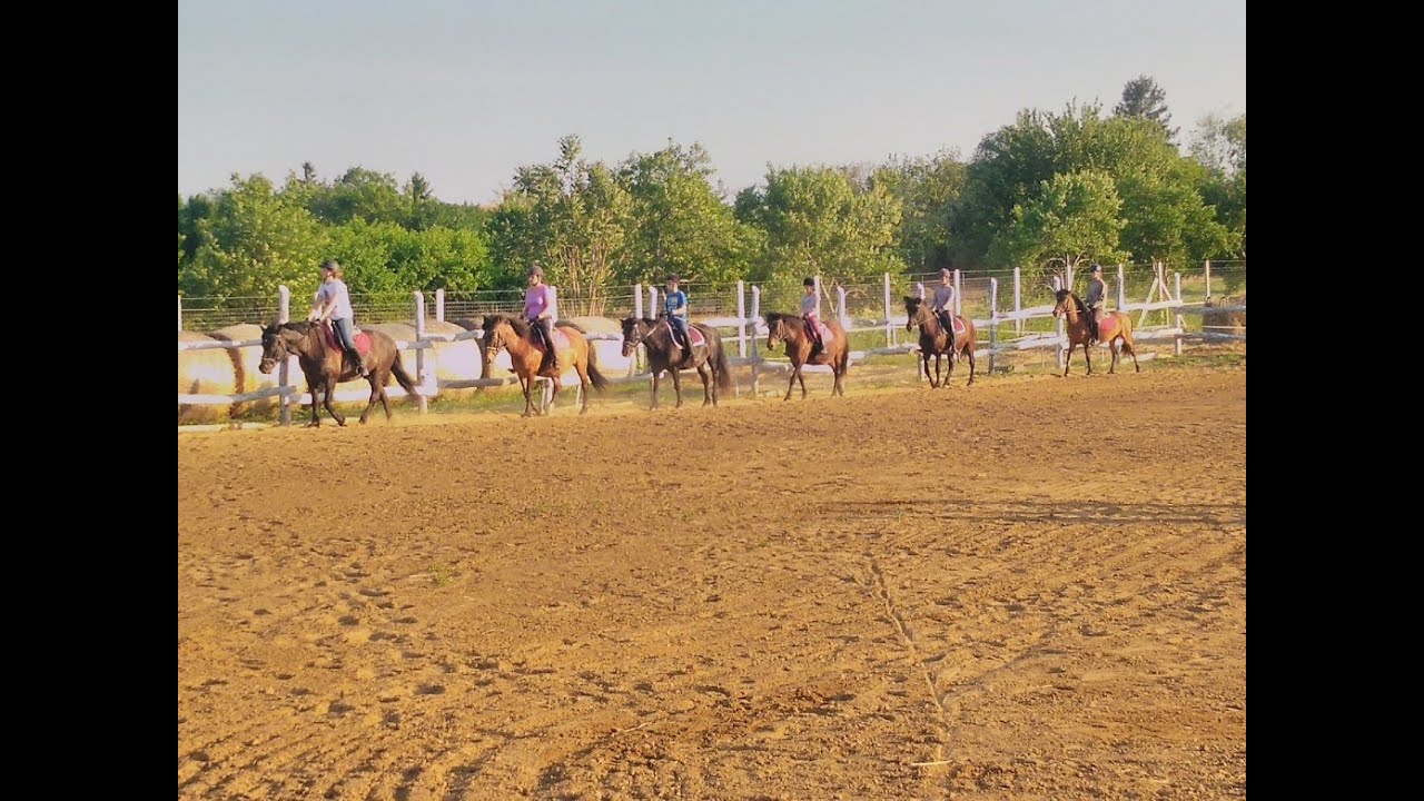 Gyerek Lovast&aacute;bor - HuculUdvar Lovask&ouml;zpont Sarud