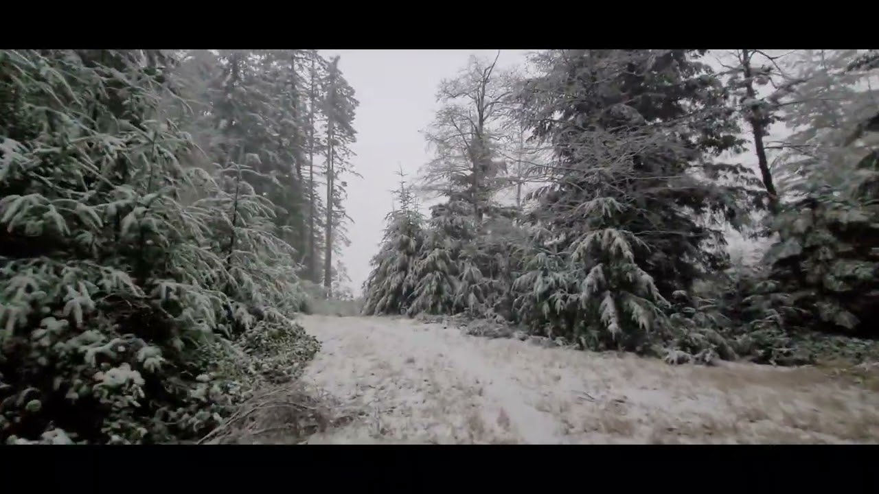 Snow white 