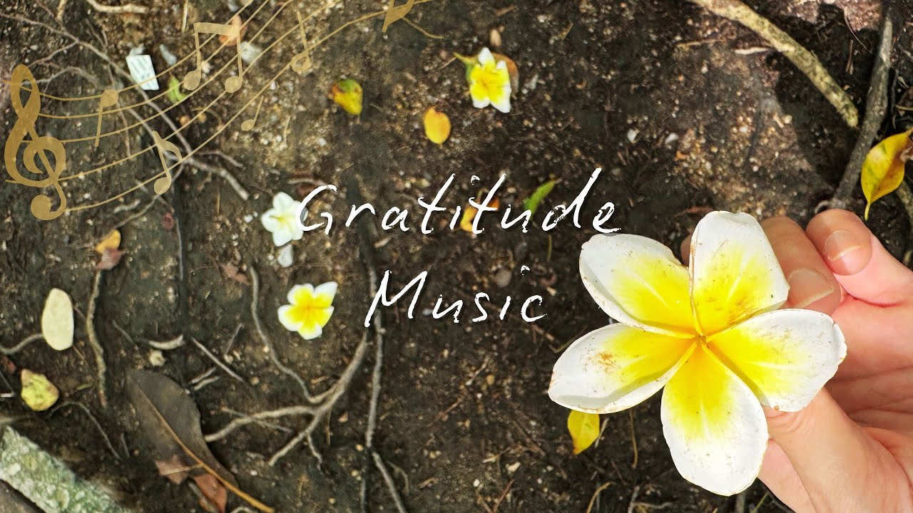 1 Hour Gratitude Meditation Music, The Most Powerful Energy to Attract Abundance