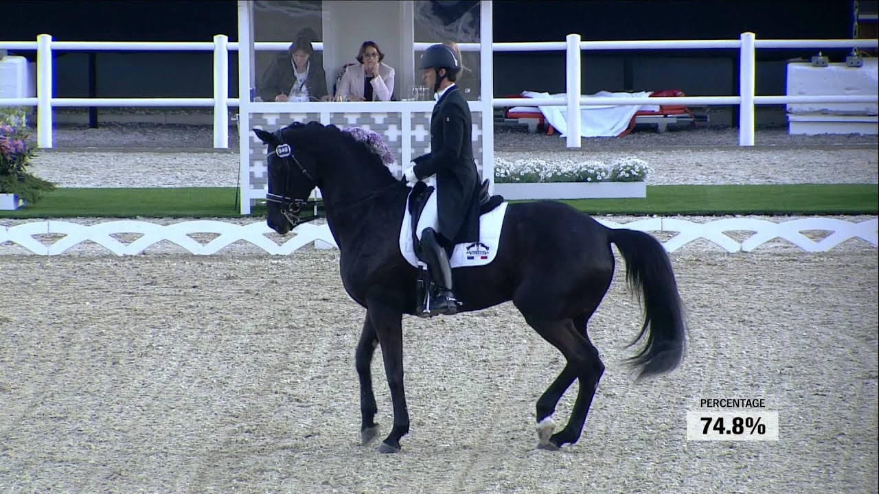 Noble Dream Concept Sol & Marc Boblet