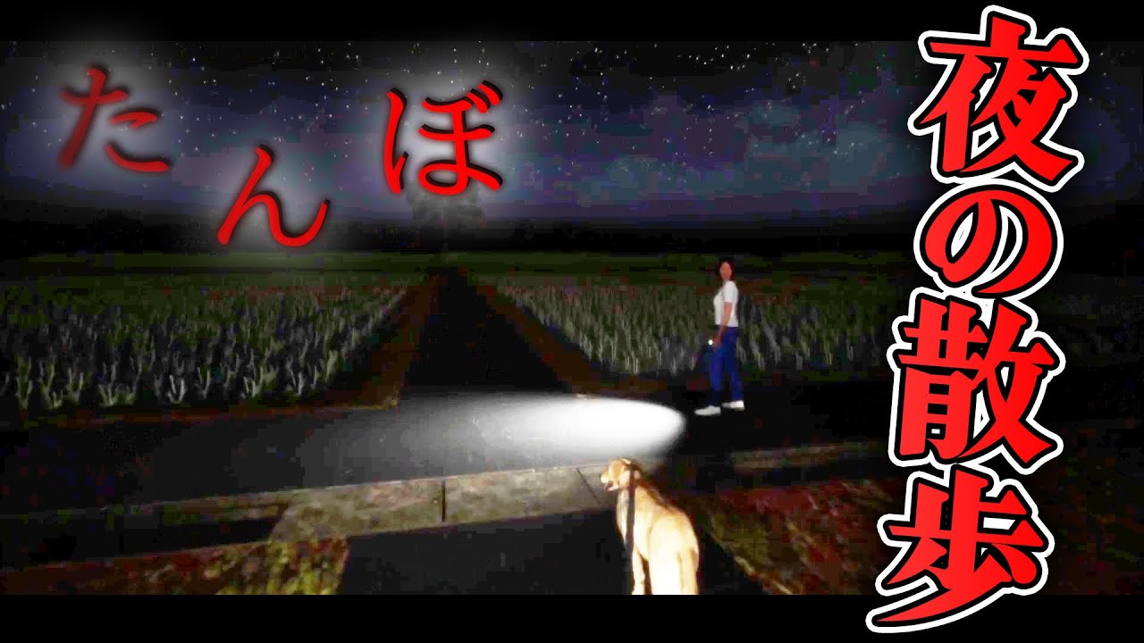 【ホラー】夜の田んぼ道をお散歩してたら・・・ 生配信【たんぼ】