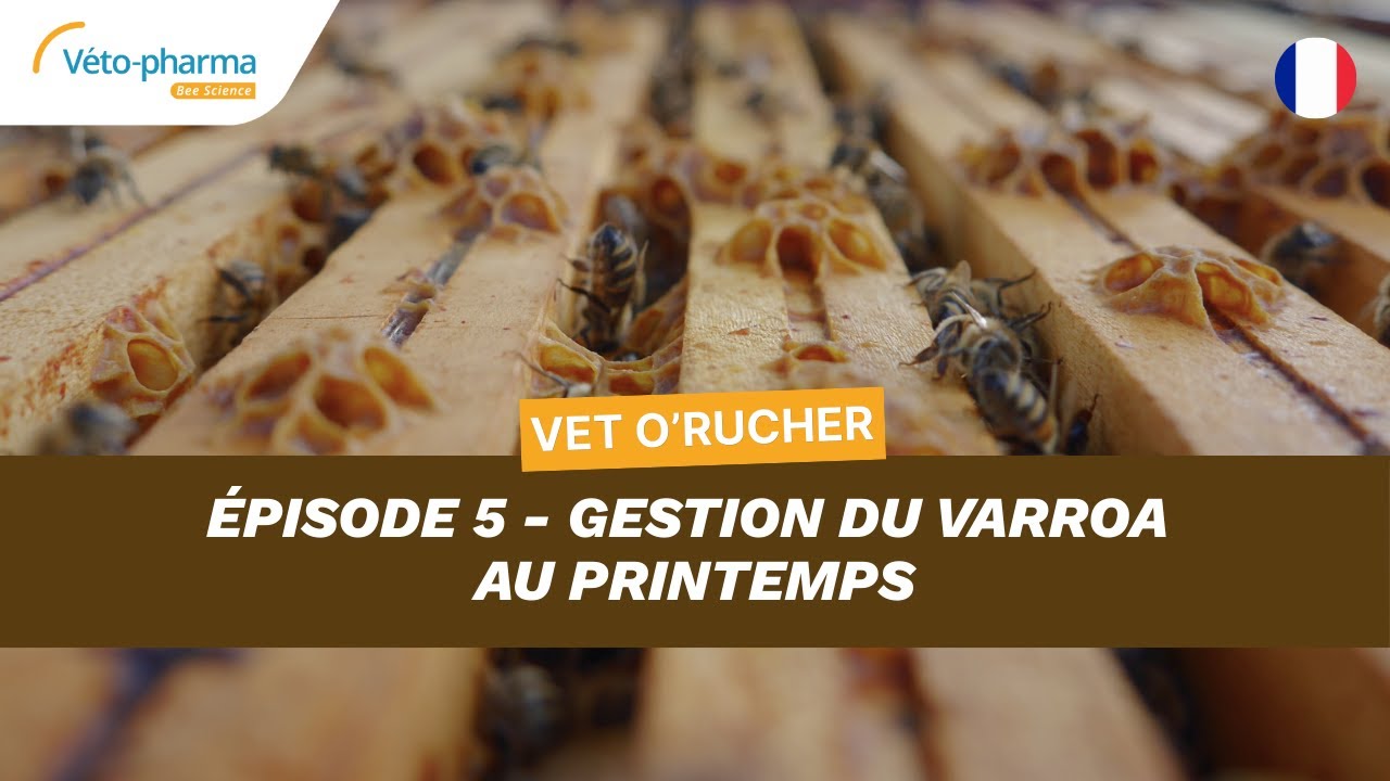 Vet O’Rucher - Épisode 5 : Gestion du Varroa au printemps.