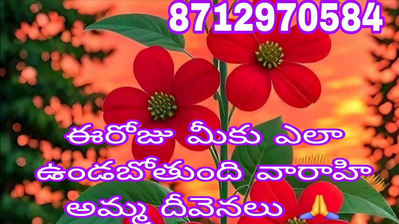 ఈరోజు మీకు ఎలా ఉండబోతుంది వారాహి అమ్మ దీవెనలు 🙏 varahi tarot reading ♥️ 8712970584