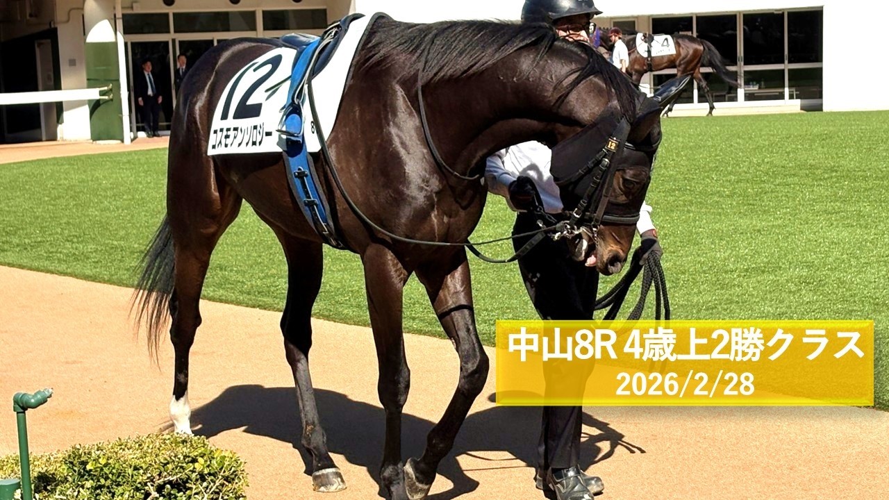 2026年2月28日 | 中山8R 4歳上2勝クラス | コスモアンソロジー | パワースナッチ | レーヴブリリアント | パドック 現地映像 全頭 | 中山競馬場 | 芝1,600