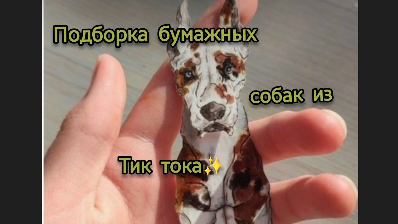 Подборка бумажных собак из Тик тока ✨(Sora_cats)#бумажныесобаки