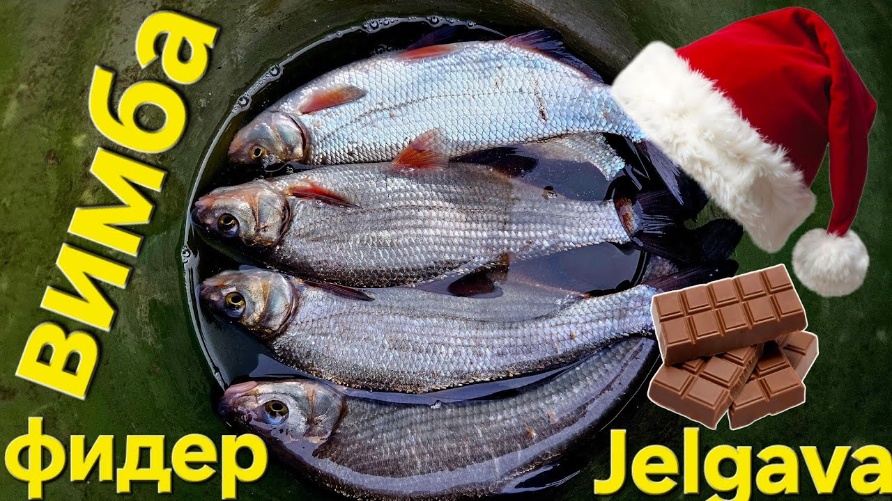 Pождественская вимба (РЫБЕЦ) на фидер (2025 LIELUPE) !! OK COPE GROUNDBAITS Special mix Choco MAGIC
