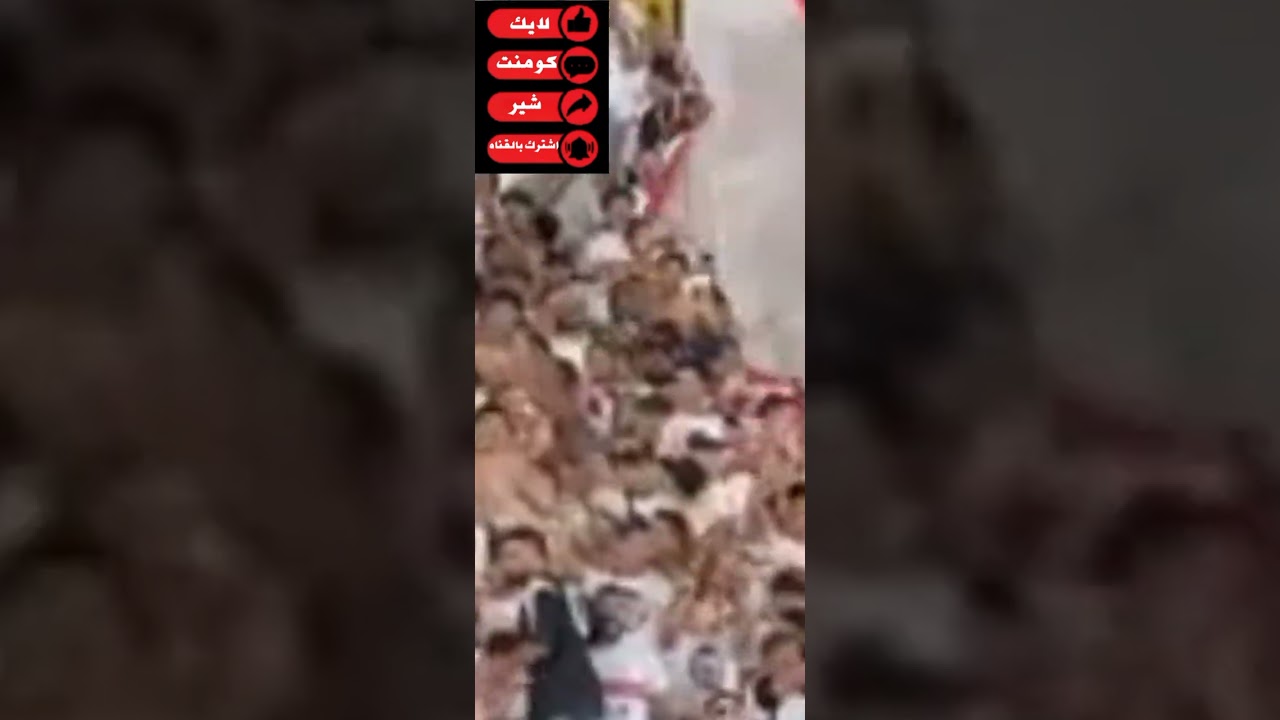  قصة نادي رمز للكفاح من قصر النيل إلى المجد كيف ولد نادي الزمالك