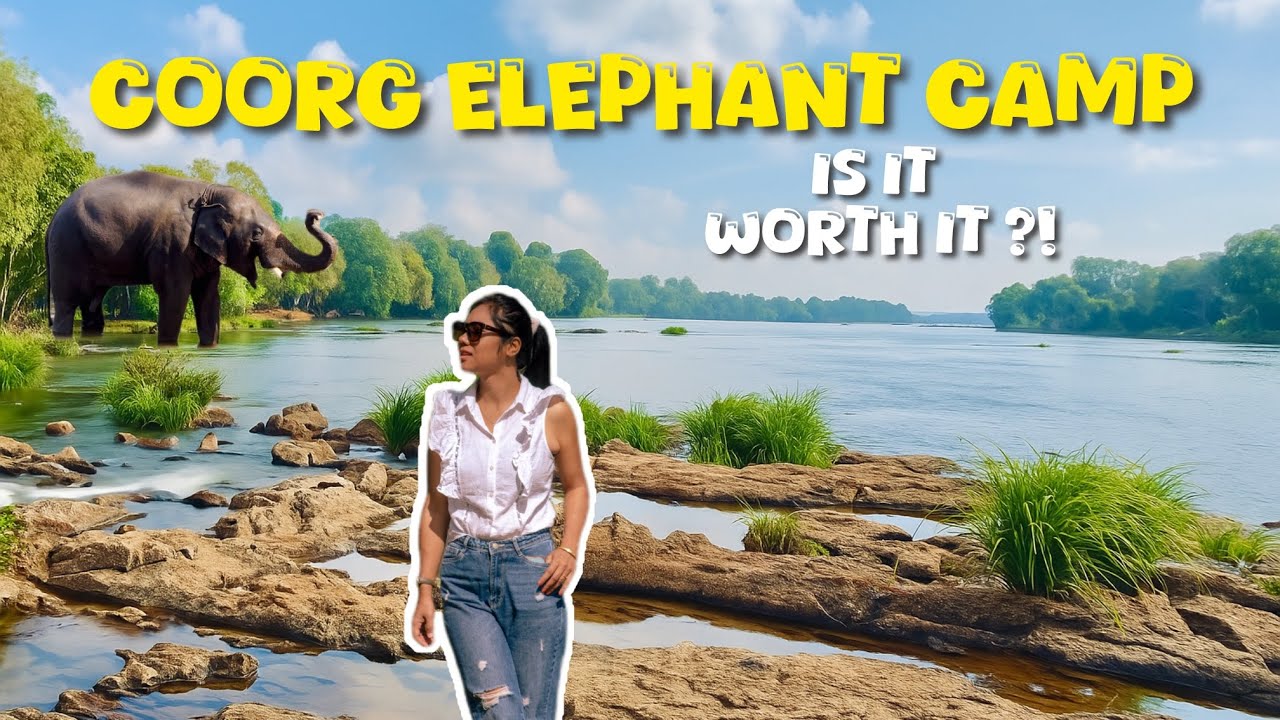 I Visited Coorg’s Famous Elephant Camp — Worth It or Waste?!