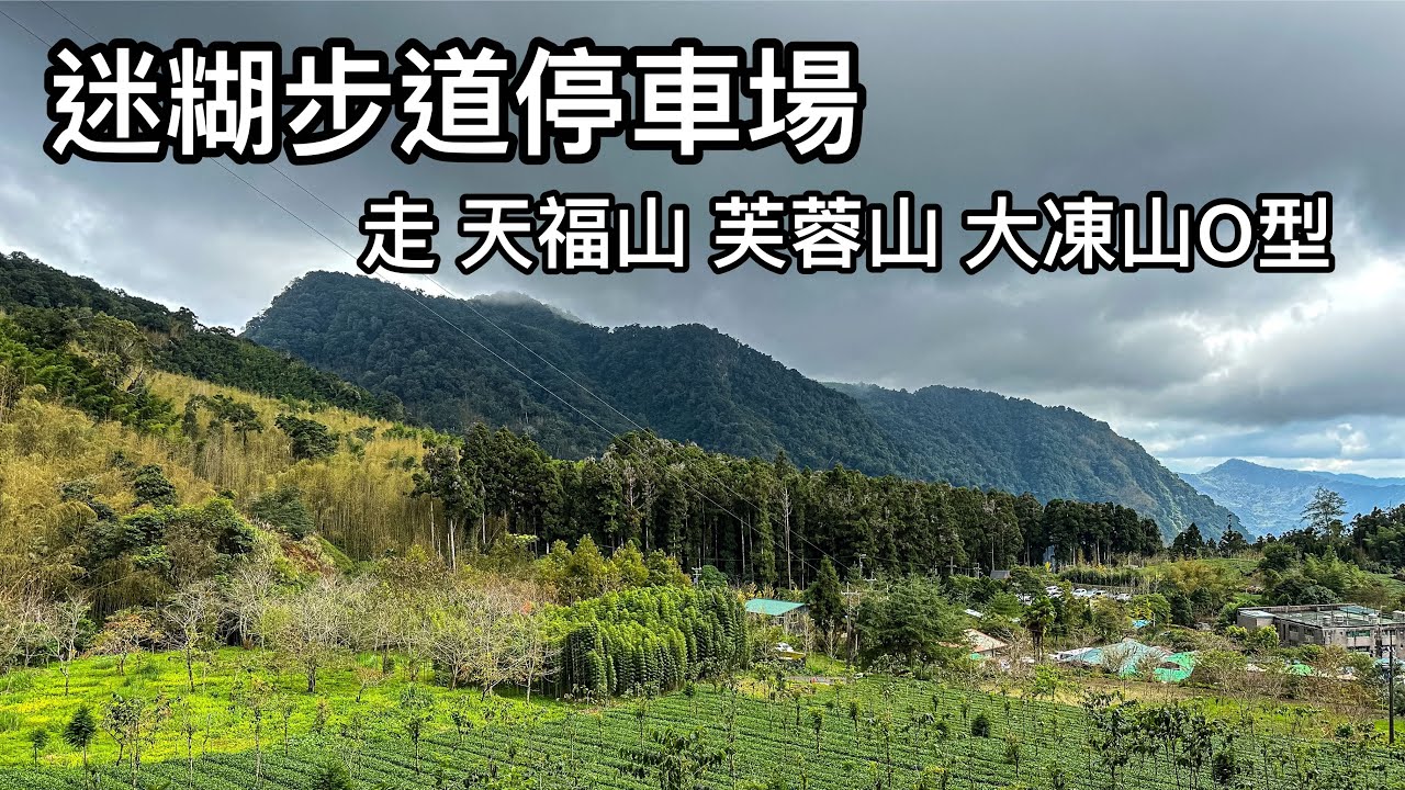 ［嘉義阿里山］迷糊步道停車場 走 天福山 芙蓉山 大凍山