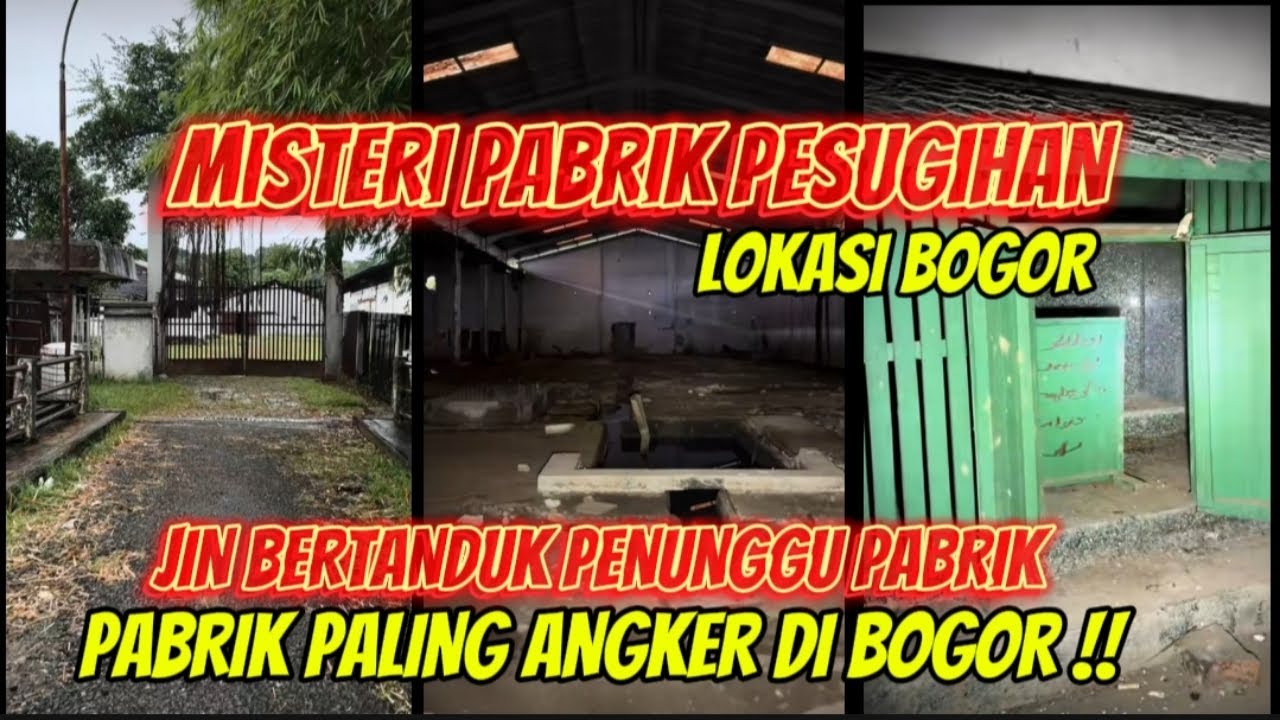 PALING ANGKER !!  PABRIK PERSUGIHAN JIN BERTANDUK DISINI LOKASI BOGOR #explore #fyp #populermisteri