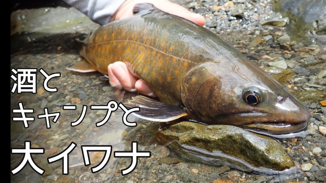 釣った魚でキャンプめし、川のヌシも釣っちゃうよ【釣りする居酒屋②】#2Fishing and beer in the mountain streams of Japan