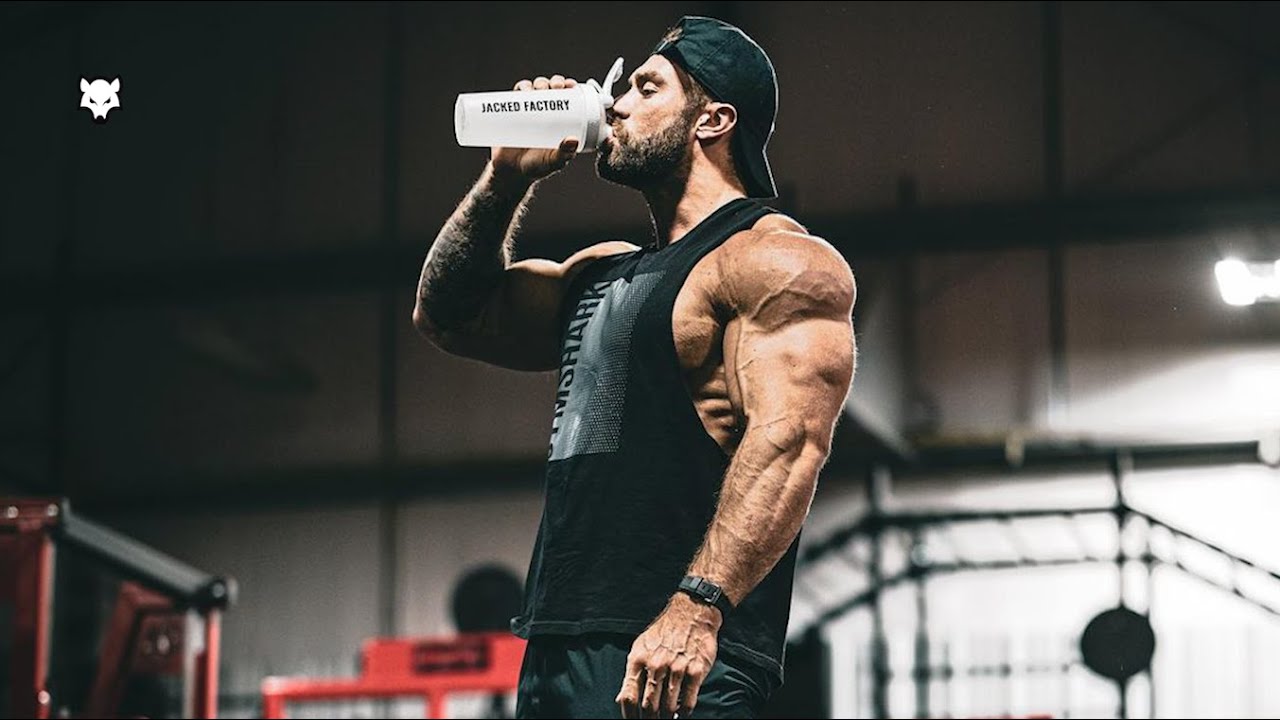 BAD WOLF 🐺 - Chris Bumstead