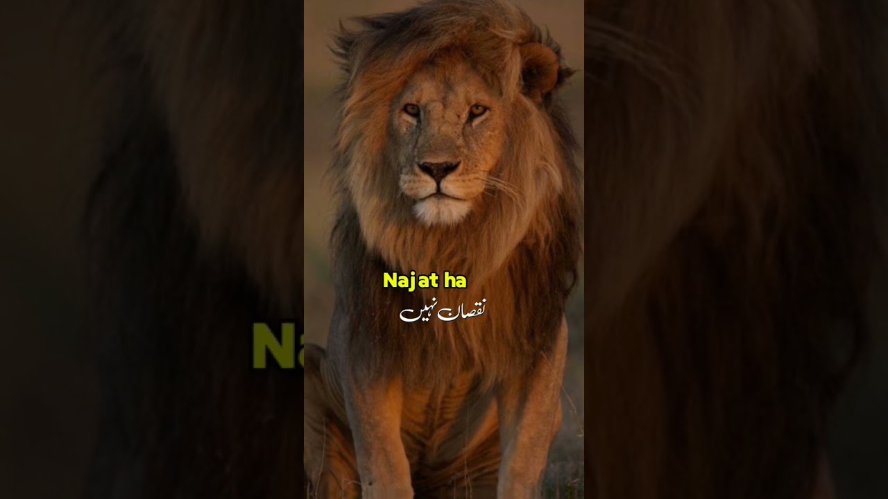 #urdu#urdusahyri#urduliteartue#urdupoetrypoint#urdulovers#urduzu