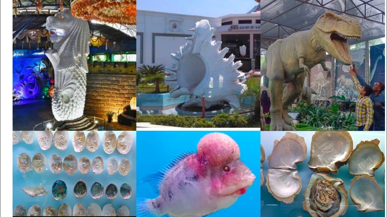 ECR One Day Trip🦪🐠India Seashell Museum At Mahabalipuram ,Chennai 2026🦪Dinosaur Museum🐚Shell Merlion