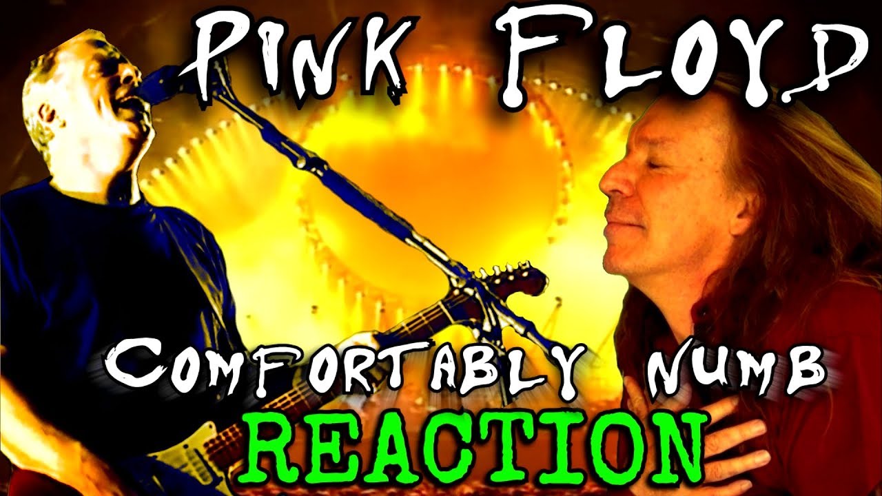 Vocal Coach Reacts To Pink Floyd - Comfortably Numb - Live - Ken Tamplin
