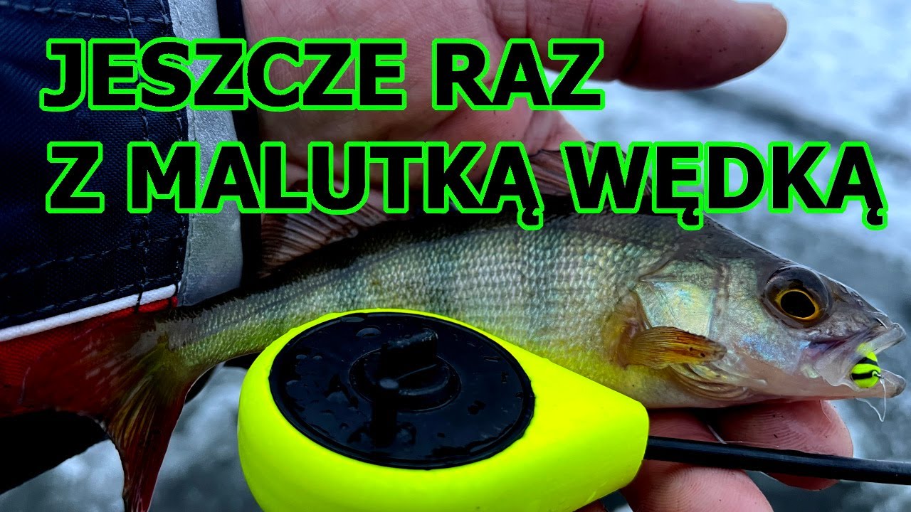 MALUTKA WĘDKA JESZCZE RAZ - BAŁAŁAJKA - WĘDKARSTWO PODLODOWE