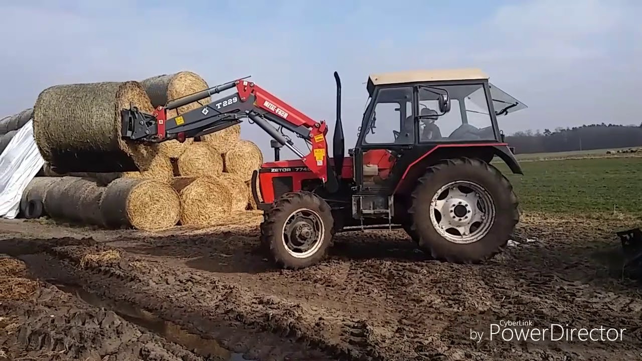 Codzienne obowiązki