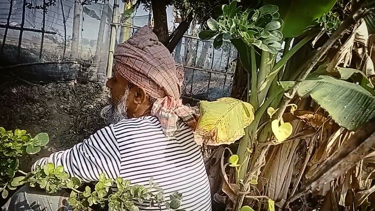 গাড়ি চালাও গান