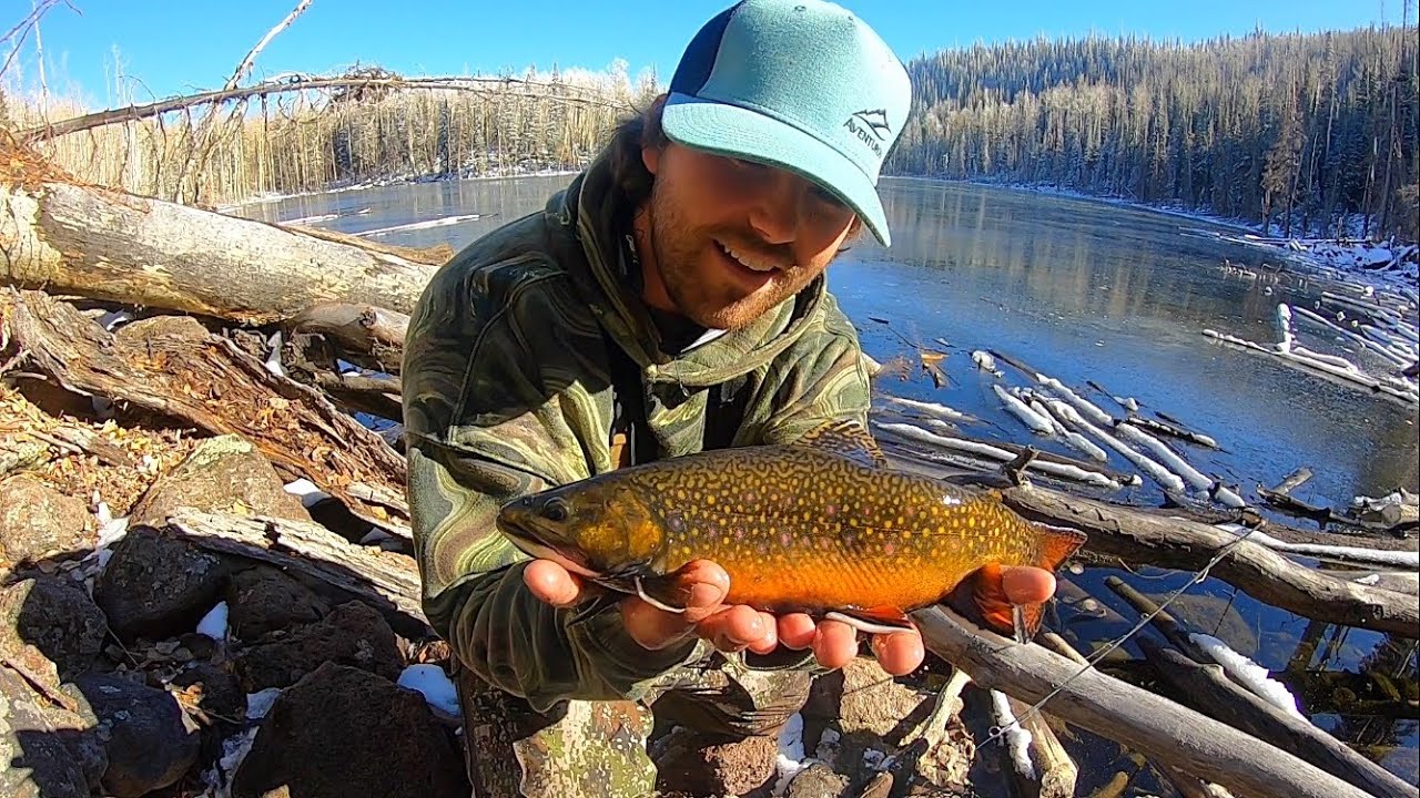 This Lake is LOADED with BROOK TROUT!! (Catch & Cook)