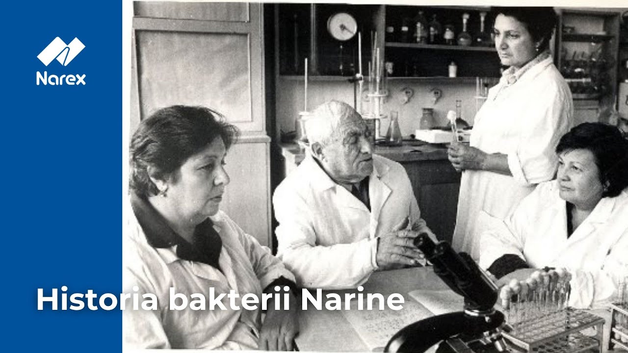 Historia bakterii Narine oraz to, jak włączyć probiotyki do diety • Narex