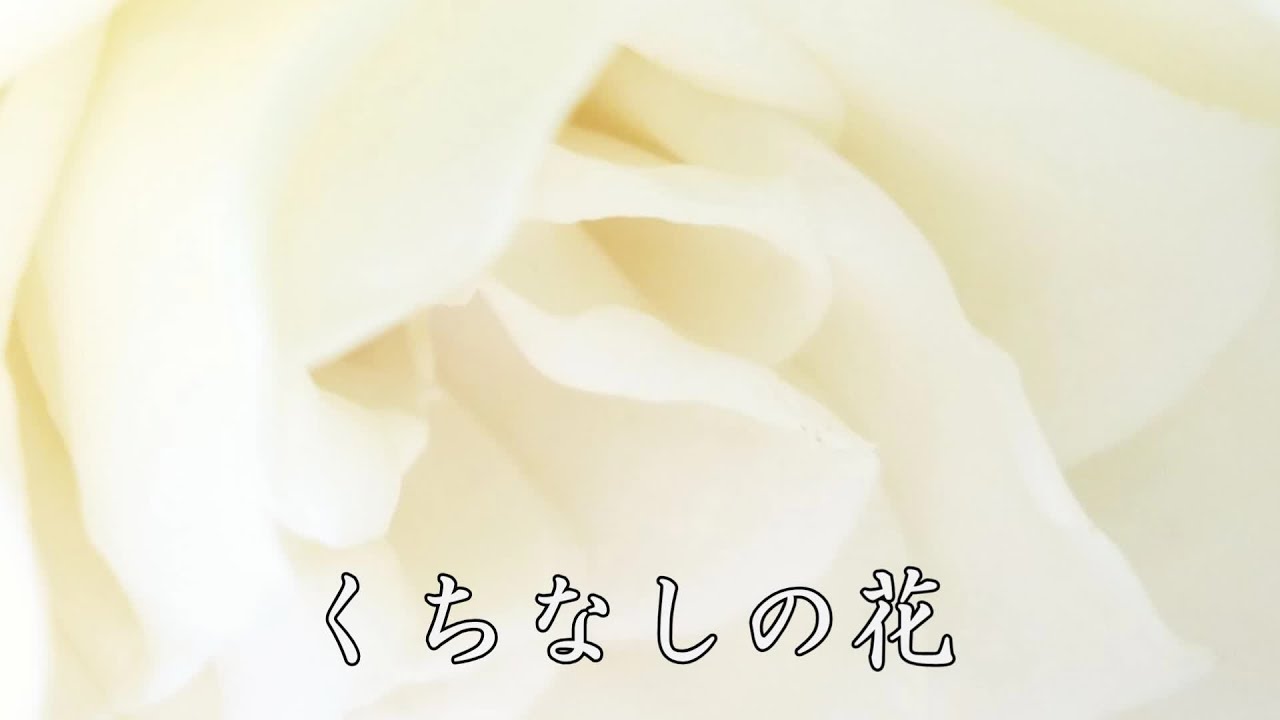 くちなしの花　八代亜紀