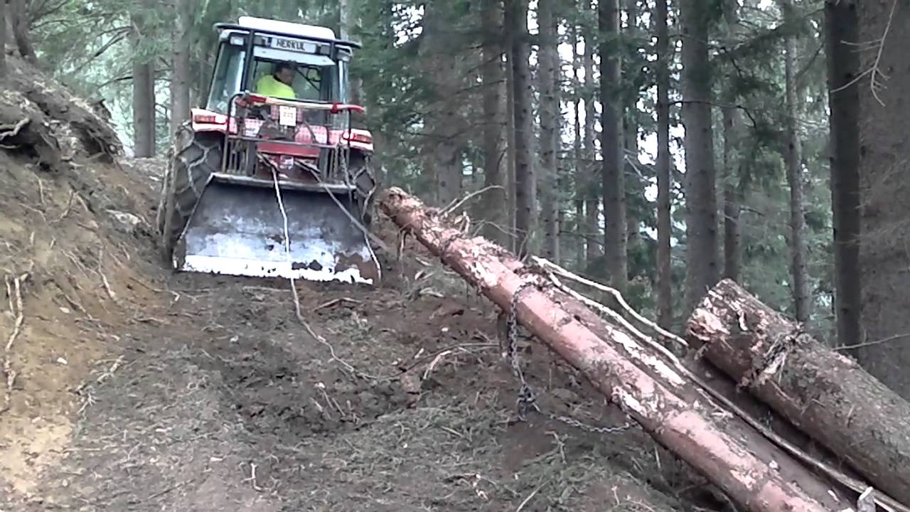 Dnevi grmenja vleka