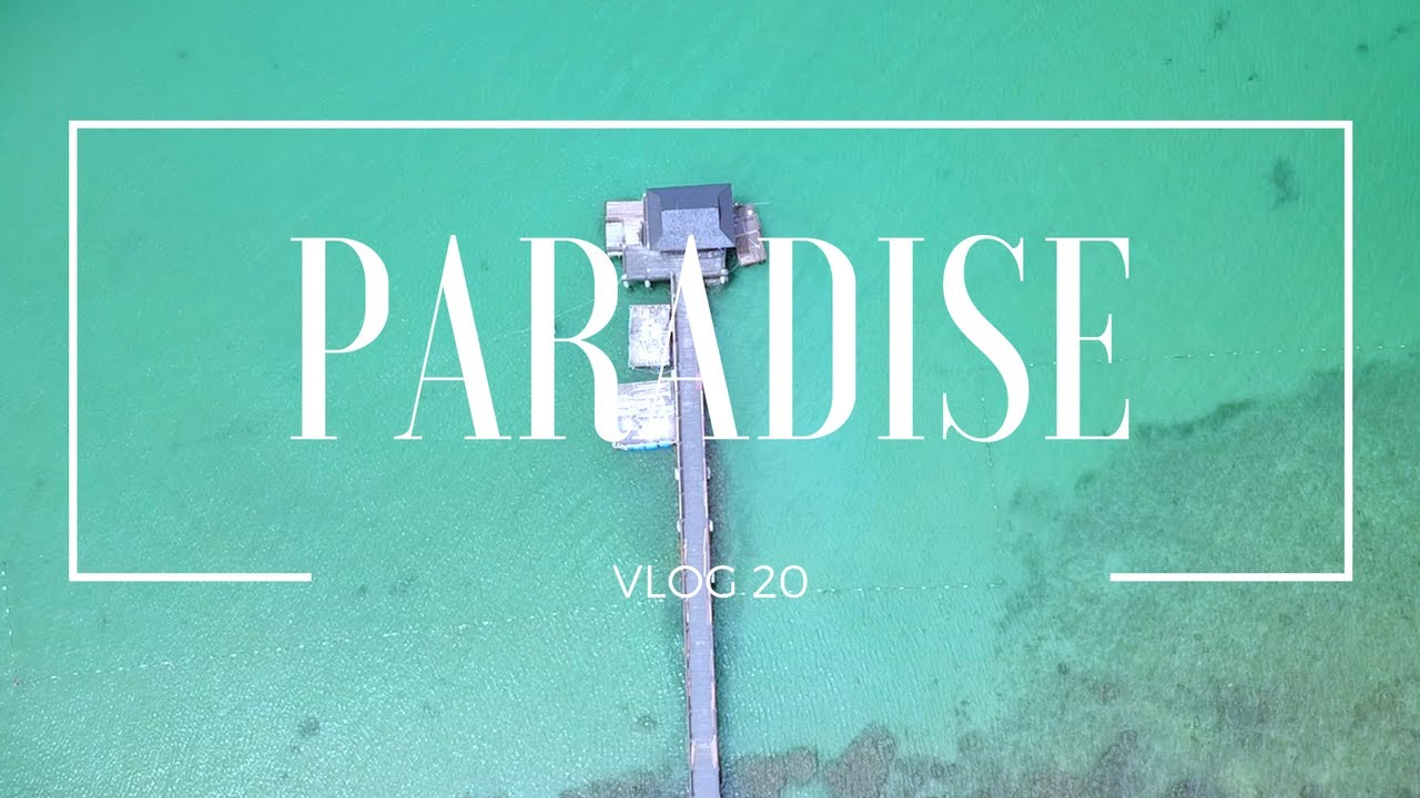 COCONUT HUNTING IN PARADISE - PHU QUOC - VLOG_020