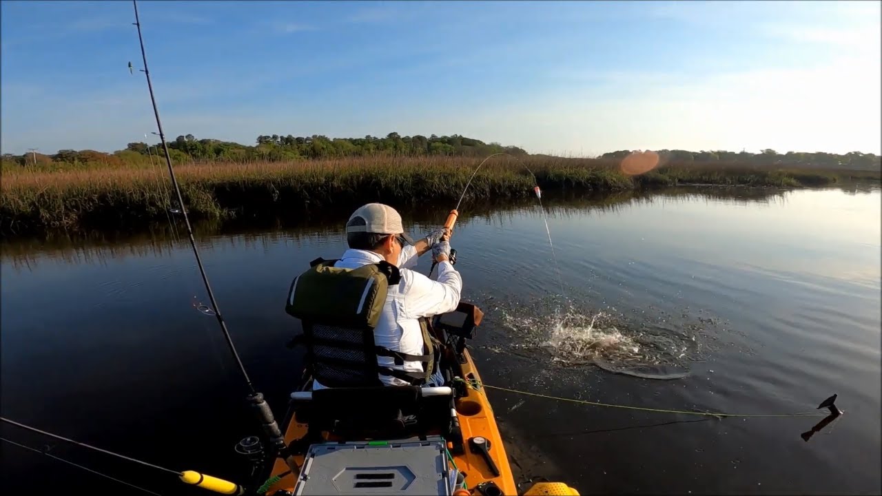 Catching Eight Different Inshore Species. Kayak Fishing St  Augustine Florida 2021