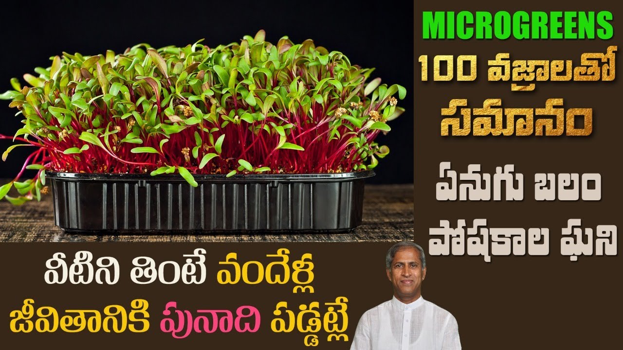 How to Grow Microgreens at Home | High Protein Food | Multi-Nutrients | Dr. Manthena's Health Tips