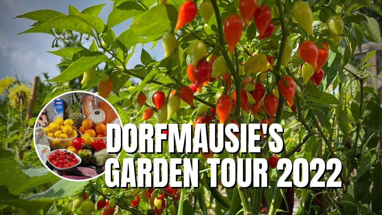 Dumpster Diving (Germany) : Garten Tour 2022