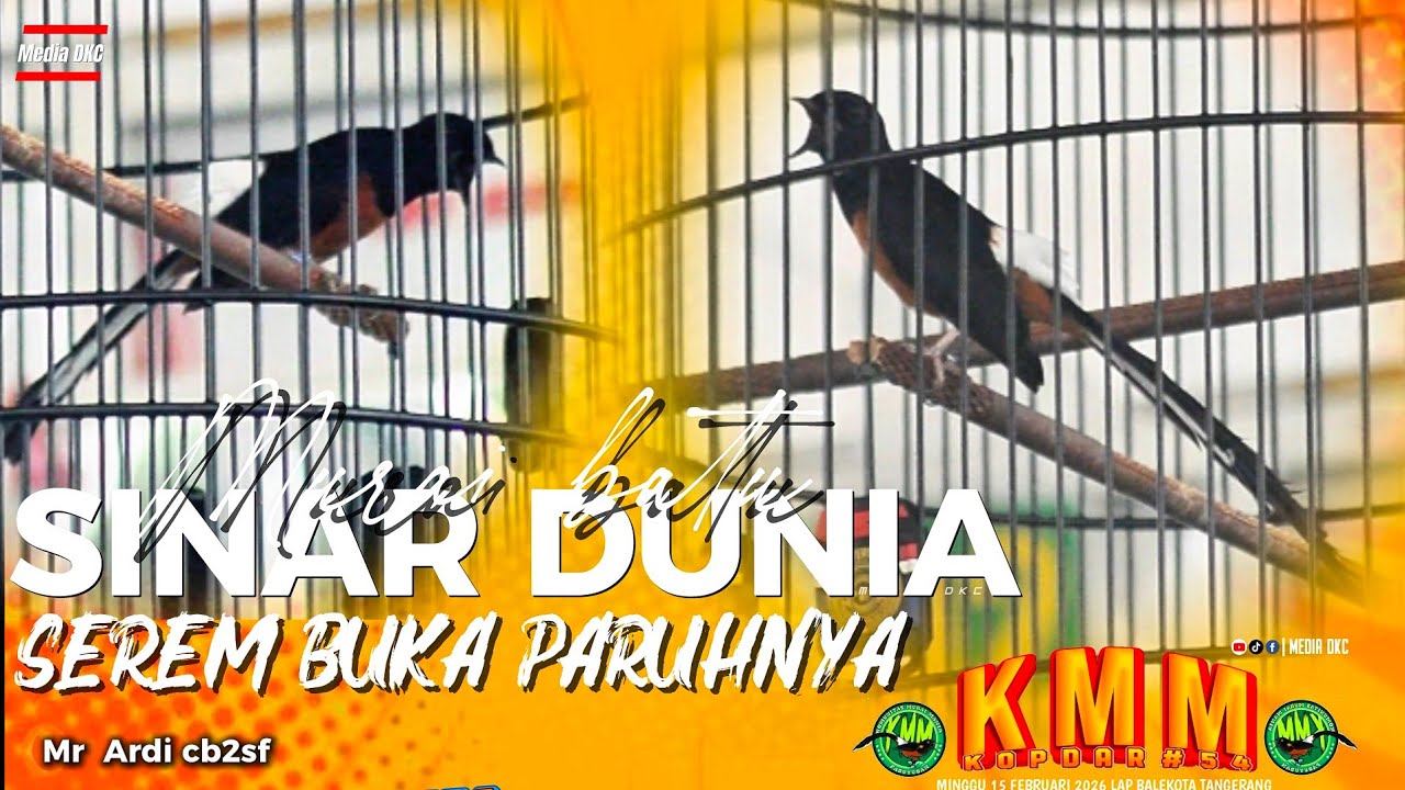 SEREM BANGET BUKA PARUHNYA ‼️MB SINAR DUNIA AKSINYA DI KOPDAR KMM#54 BESUTAN MR ARDI CB2SF