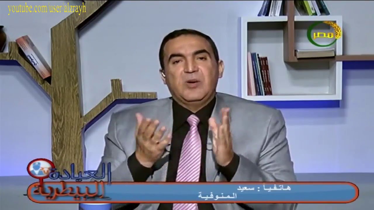 التعامل مع ظهور جلد عقدي فى رقبة الابقار والمواشى