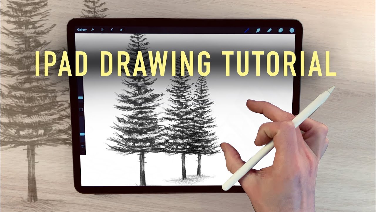 IPad Drawing tutorial - HOW TO DRAW A PINE TREE