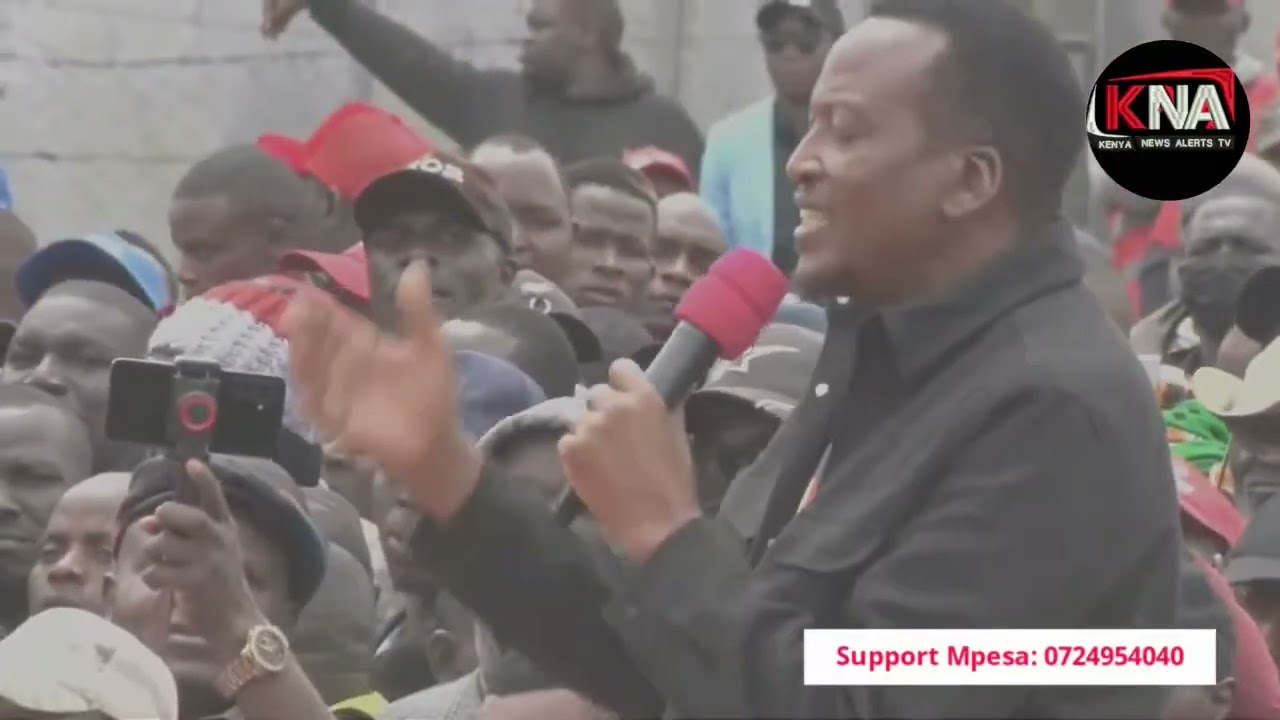 SENATOR ONYONKA: 