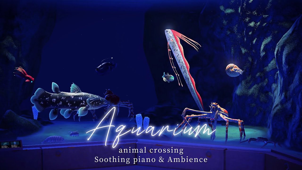 【あつ森BGM】癒しの水族館🐟心が落ち着く美しいピアノ音楽＆アンビエント [ 流れる水の音 ]🎧