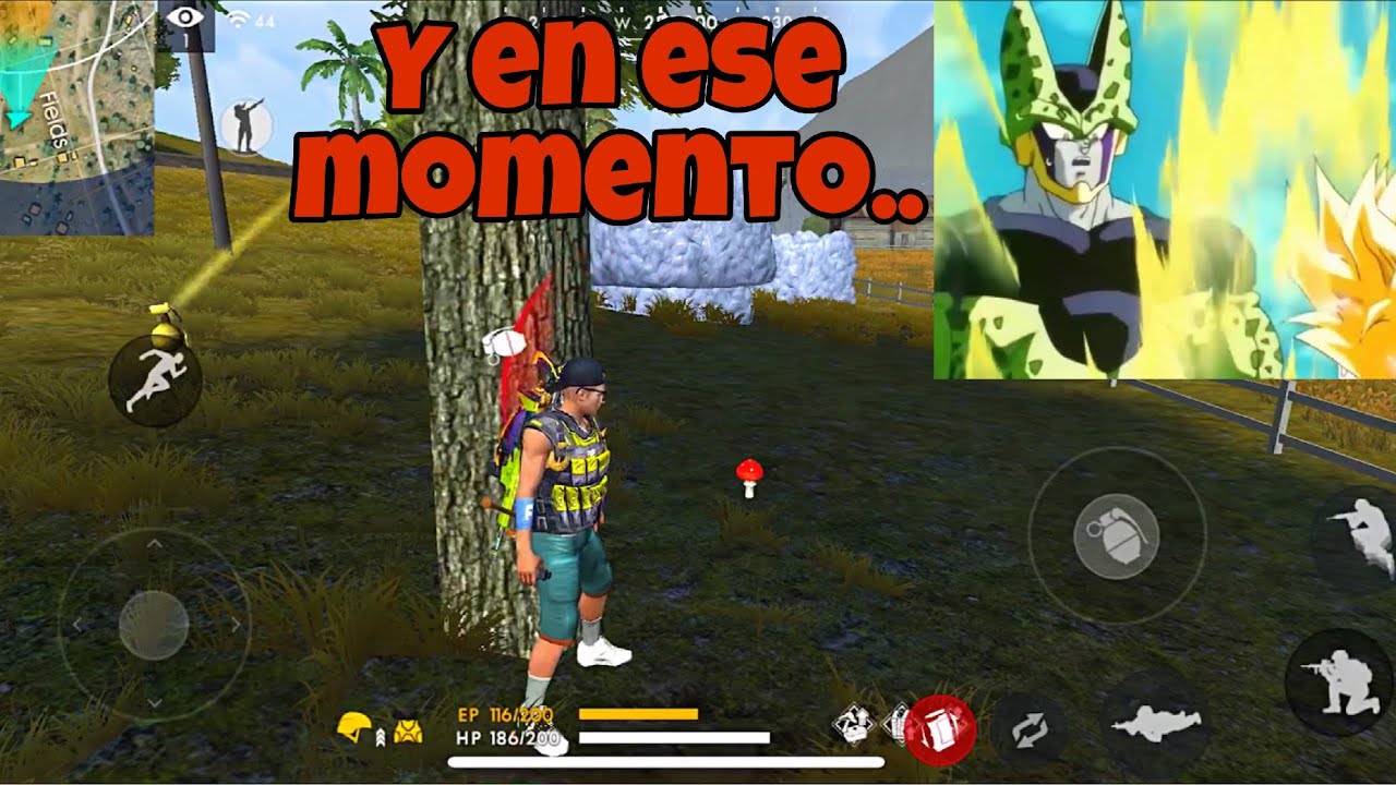 PARTIDAS 