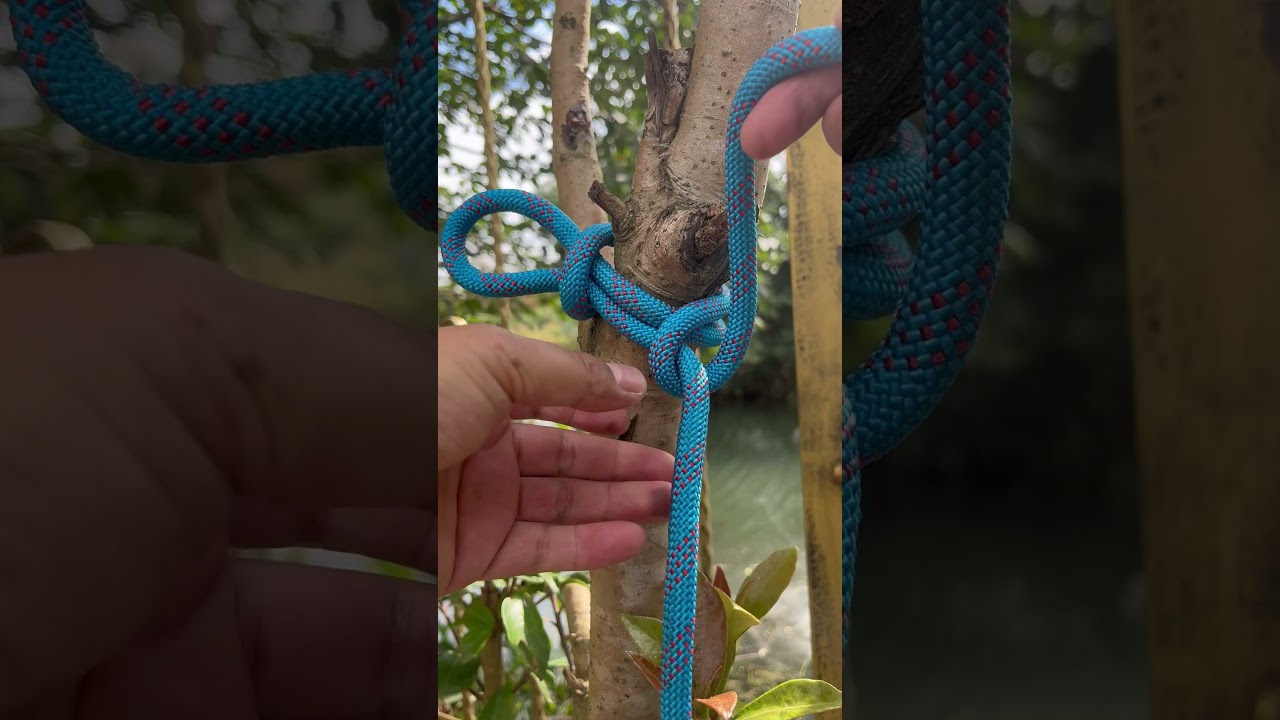 Most useful knots skill 