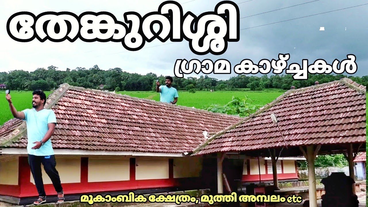 തേങ്കുറിശ്ശി ഗ്രാമ കാഴ്ചകൾ | Thenkurissi village | All Palakkad Trip EP#18