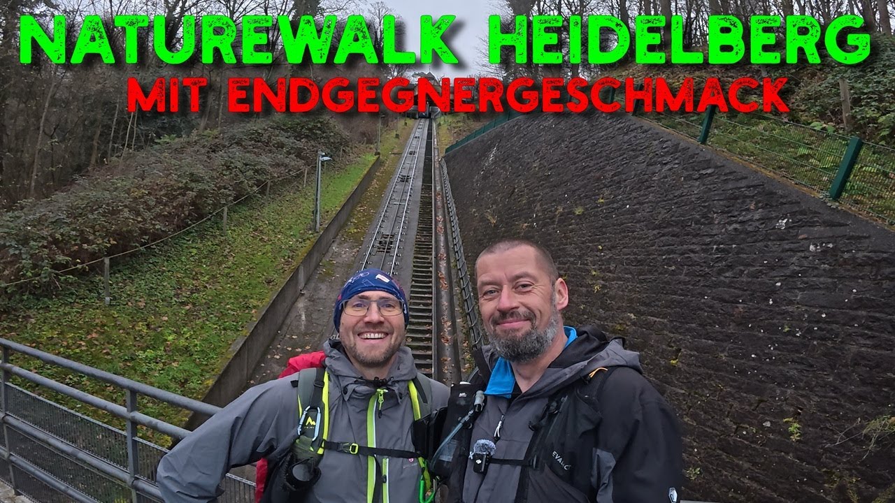 Christmas-Naturewalk Heidelberg | 33 km | 1350 hm