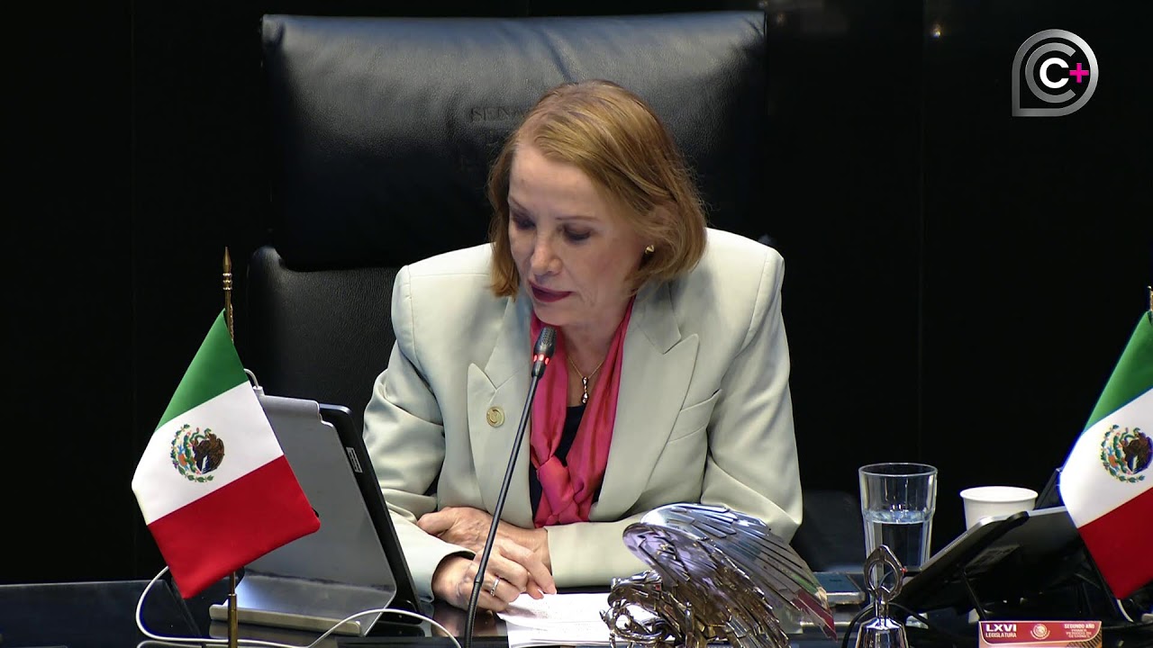 Sesión de la Cámara de Senadores, del 9 de septiembre de 2025