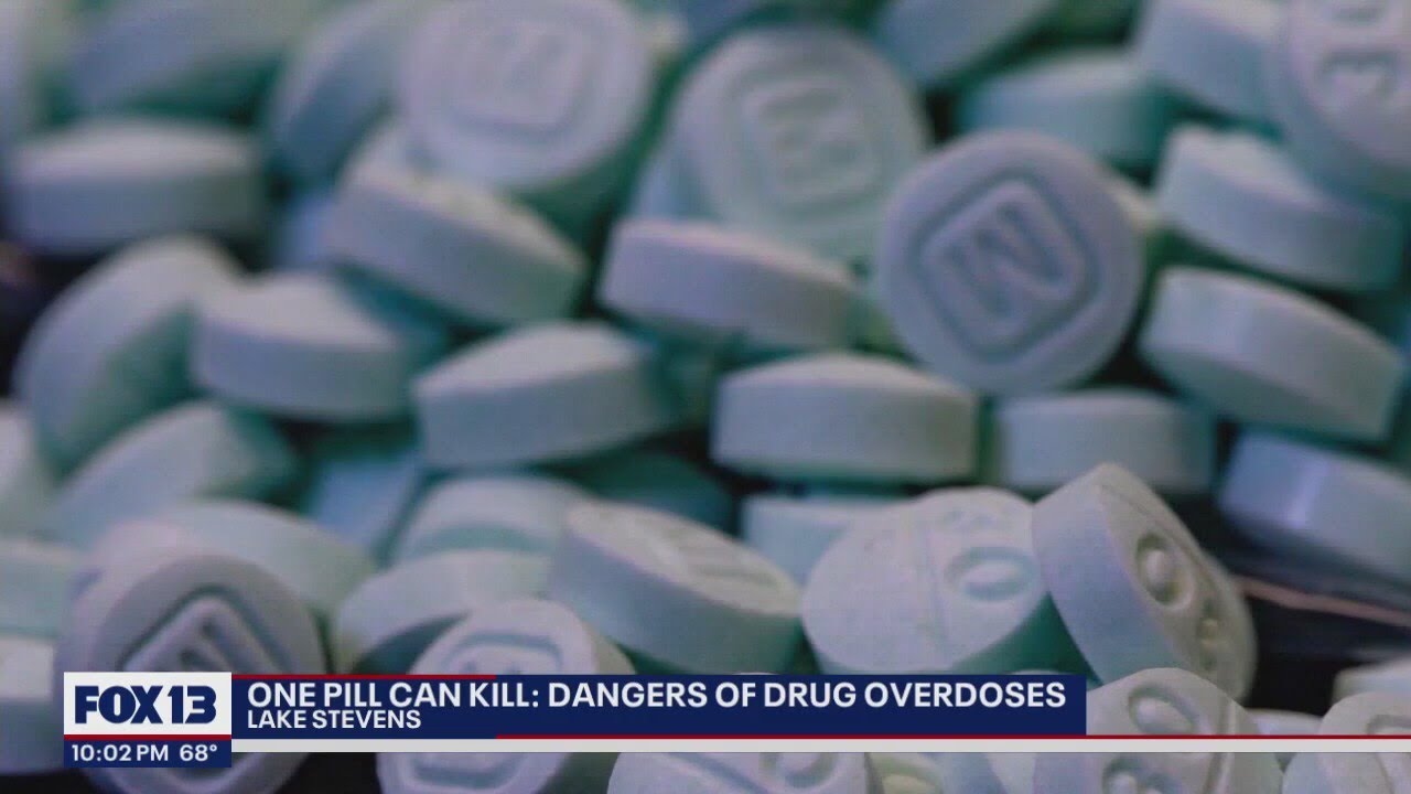 One Pill Can Kill: City discusses preventing drug overdoses | FOX 13 Seattle