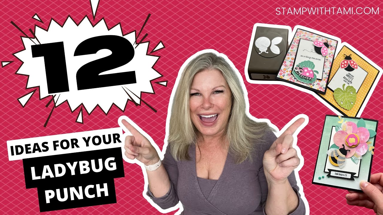 🔴  Awesome ideas for your ladybug punch! 🐞 [Ladybug Series Cards 1-3]