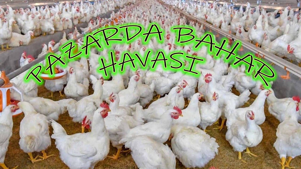 Pazar bir Anda Canlandı