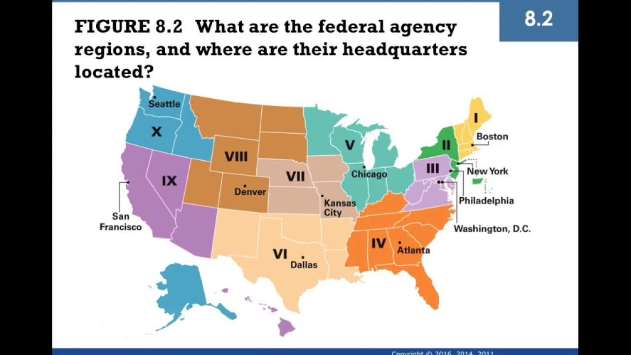 The Executive Branch and the Federal Bureaucracy